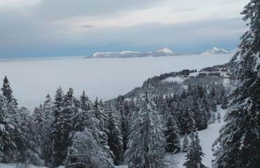 Studio rénové Chamrousse, au pied des pistes. - Foto 15