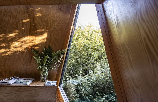 K3 Kudhva Treehouse Cabin in Tintagel - Foto 27