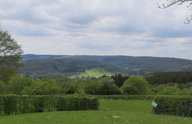 Rendeux Forest View Retreat - Photo 38