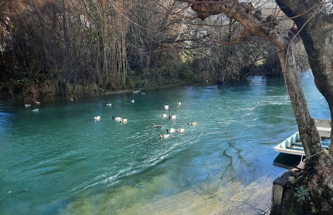 Villa Kikiza - Foto 36