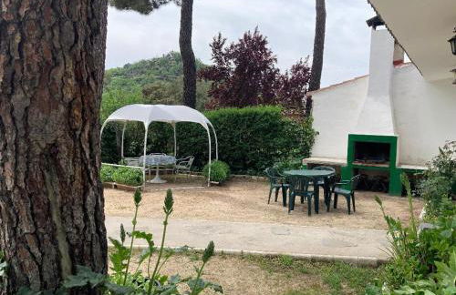 Aventura II - Photo 8