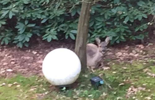 Ferienhaus Atelier am Südhang - Foto 18