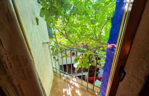 Casas rurales la Tejeruela - Foto 67