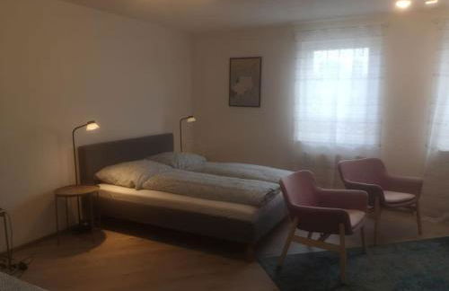 1,5 Zi Wohnung 43 qm im Zentrum von Plochingen, frisch renoviert und voll ausgestattet - Foto 6