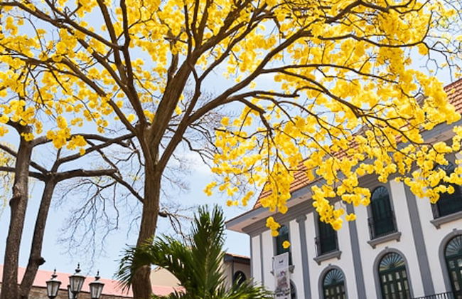 The Plaza Catedral Views by Acomodo Casco Viejo - Photo 8