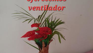 Puro Dengo 1 - Photo 3