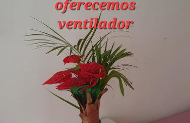 Puro Dengo 1 - Photo 3