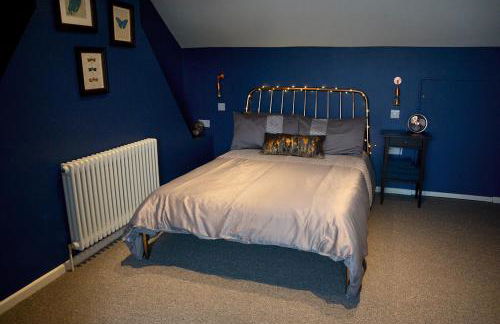 The Haven, Fishguard, ideal for Beach, coastal path and town! - Photo 12