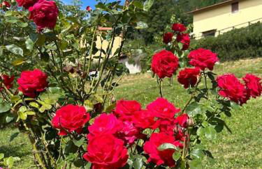 Villino Cecchini - Foto 39