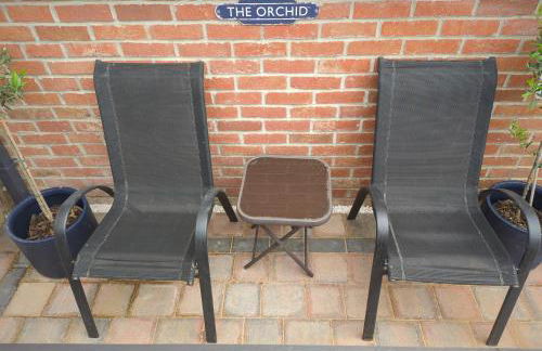 The Orchid - Foto 10