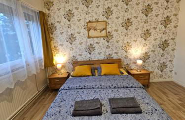 Appart 28m2 Metz Canal équipé meublé Wifi - Foto 1