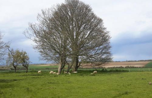 The Old Rectory - Foto 6