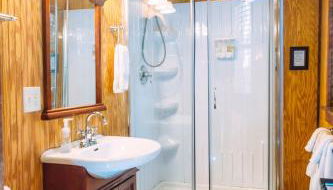 Charming Log Cabin Rental for a Group Getaway in Shenandoah, Virginia - Photo 4, Shower