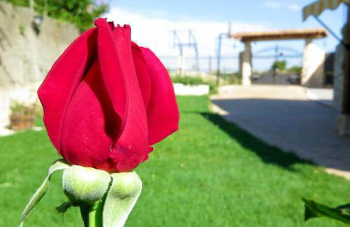 El Molino de Manolo - Photo 36