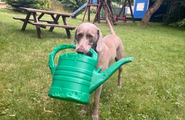 Babie Lato - Foto 16