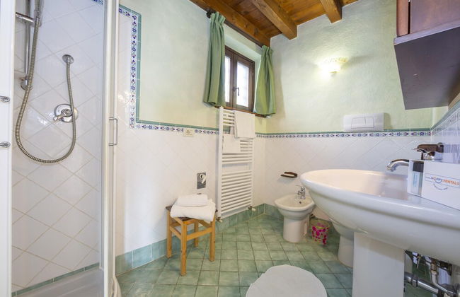 Mimosa in Hilly Area - Foto 11