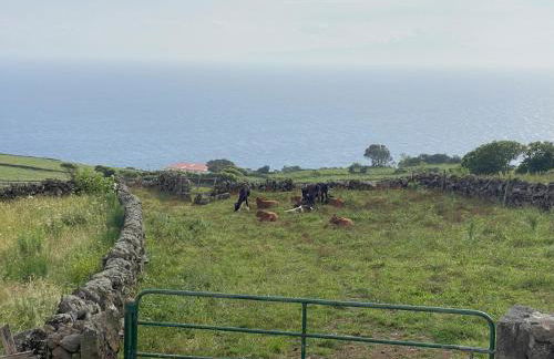 LUZZ me - Casa das Doze Ribeiras - Photo 31