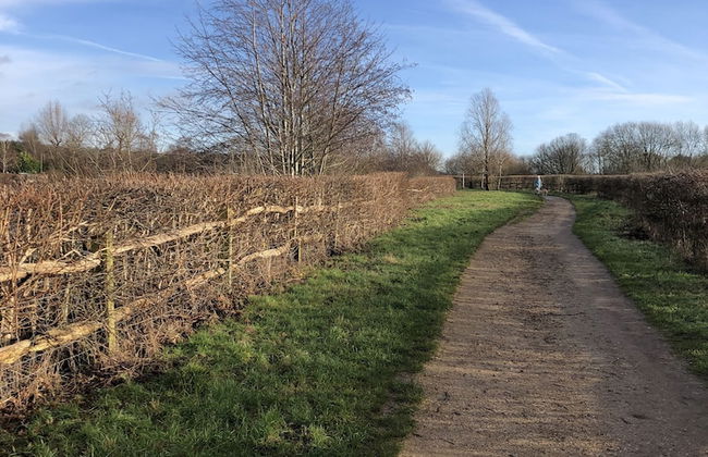 Beautiful 1-bed Apartment in Redhill - Foto 14