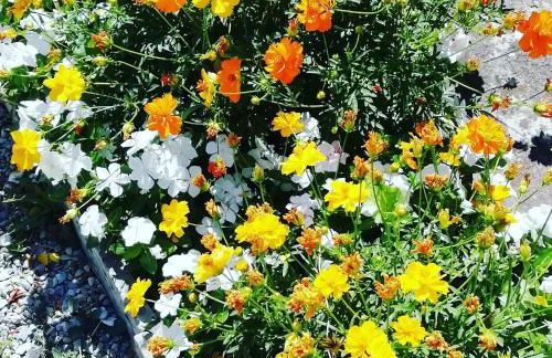 Villetta di Campagna - Foto 25