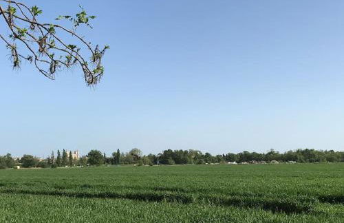 Gîte Narbonne 15 personnes - Foto 18