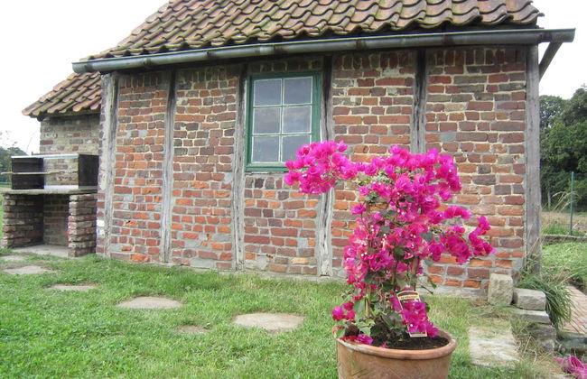 Tranquil Home With BBQ - Photo 29