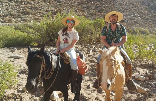 Horseback Riding in Cochiguaz - Photo 4