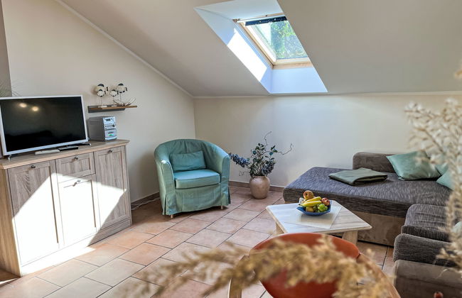 Zaunkönig - Foto 10