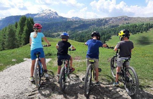 Chalet Apartments Ambria - Photo 11