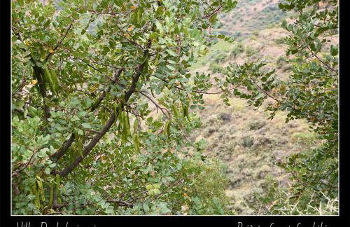 Villa Daskalogianni - Foto 53