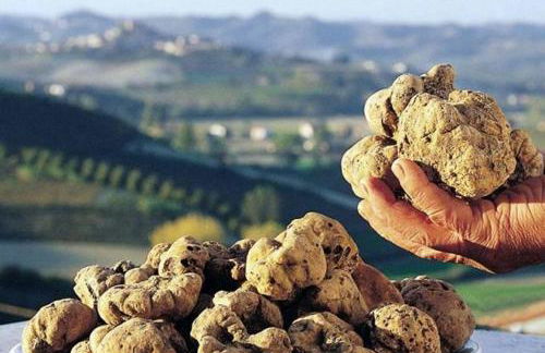 La casa dei ricordi - Foto 38