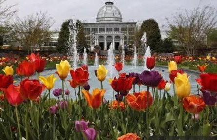 The Divine Cottage! Woodsy Hideaway! - Foto 72