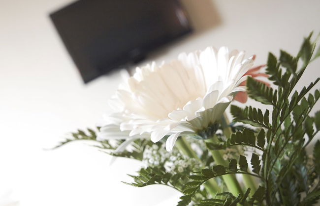 Beausejour Hôtel Appartements - Photo 20