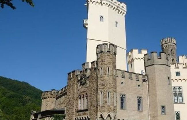 Lindenblatt ' Right - Foto 24