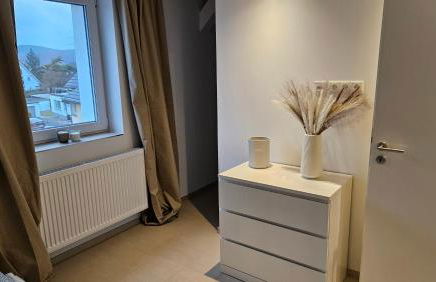 BeMa Apartments Hallstadt - ruhig, zentral, geräumig und in unmittelbarer Nähe zu Bamberg - AS5 Two - Foto 16