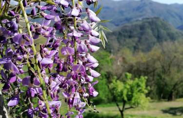 La casa In Valli 35 - Foto 11