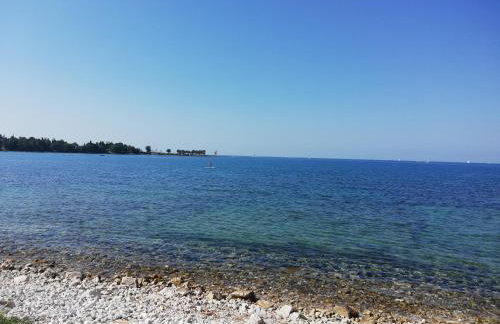 Apartments Oleander Lovrečica-residence with pool - Photo 14