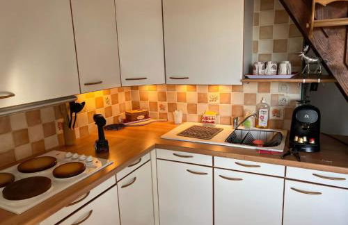 LE CHALET des 3 Sapins, Superbe Duplex Montagnard avec balcon, au calme - Les Rousses, Draps inclus & Parking gratuit - Foto 13