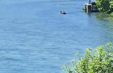 Ferienwohnung Rheinblick - Foto 20