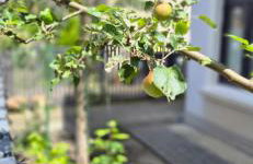 SUITE&ENJOY Hamburg - Foto 34