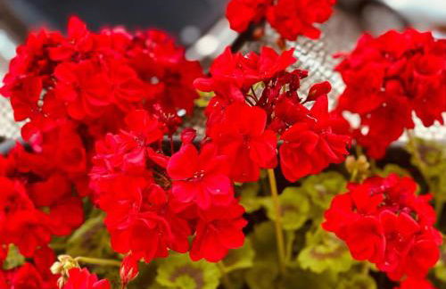 Cascais Sun Apartment - Foto 57