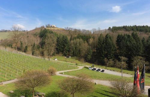 Wein Lodge Durbach - Schlossblick - Foto 14
