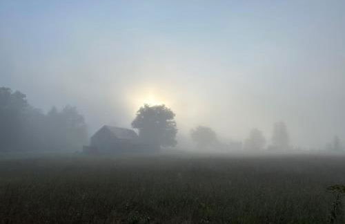 Perfect Vermont Battenkill Log Cabin - Photo 41