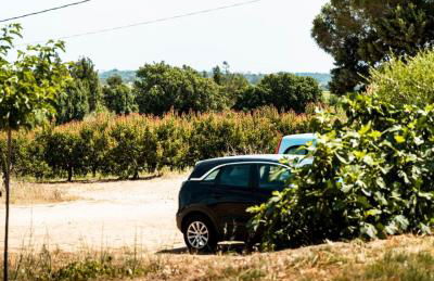 La maison des vendangeurs - Foto 38