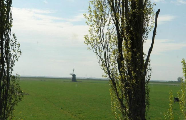 Superb Villa in the Woods of Gaasterland With Wifi and Fireplace - Foto 39