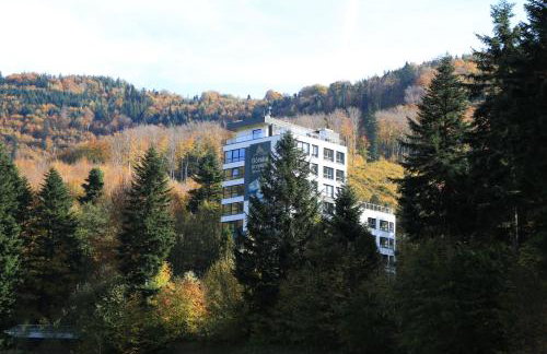 Apartament Góry i Potok - Foto 47