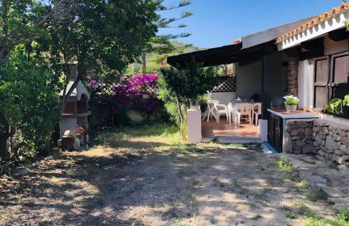 Bilocale Bouganville 80 mt spiaggia - Foto 1