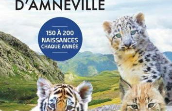 Le Mansardé chaleureux T3 - 2 chambres Netflix WIFI - Foto 8