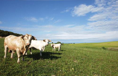 Agriturismo Piani Della Marina - Foto 43