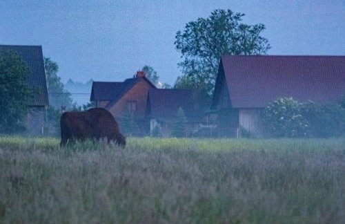 Agroturystyka u Wojtka - Foto 34