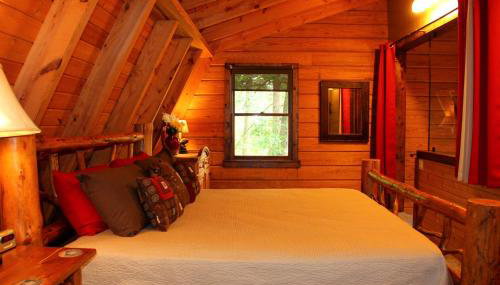 Rustic-Modern Log Cabin Getaway: Family-Friendly, Quiet Ranch, Wildlife at Your Door in Clyde, North Carolina - Foto 3
